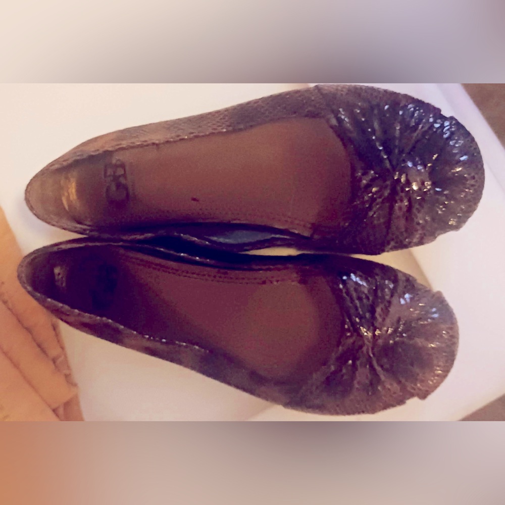 Elegant Black & Brown Women's Shoes